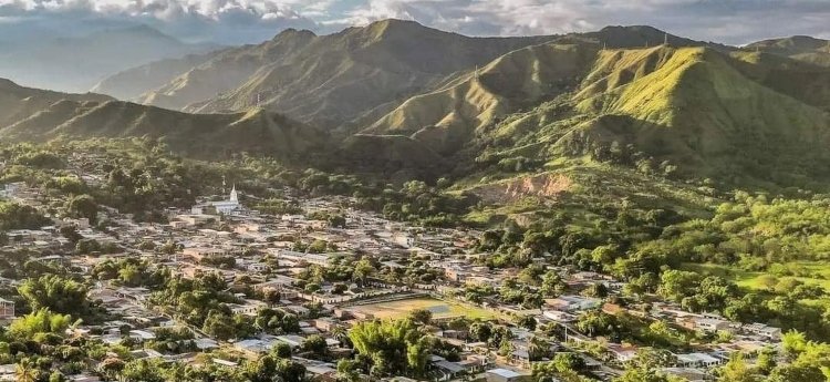 Dos hombres fueron condenados por tala indiscriminada en Rovira