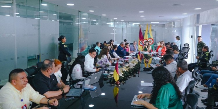 Las autoridades en el Tolima intensificarán acciones contra la violencia de género en 2025