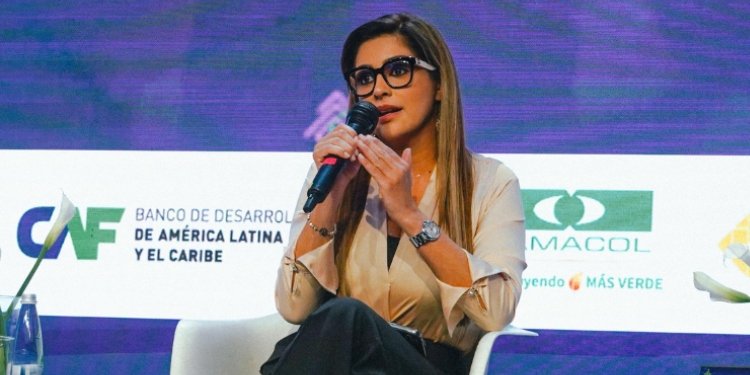 Gobernadora  Matiz muestra a los colombianos los panfletos con los que grupos armados intimidan en el sur del Tolima