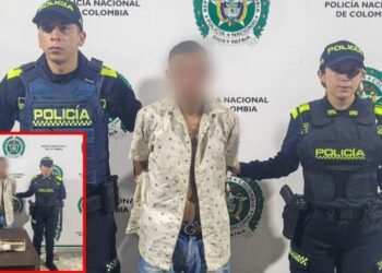 Sujeto intentó evadir a la Policía al subirse a un árbol, luego de ser señalado de cometer un  hurto
