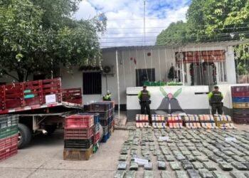 Incautan importante cargamento de droga en la variante de Flandes 