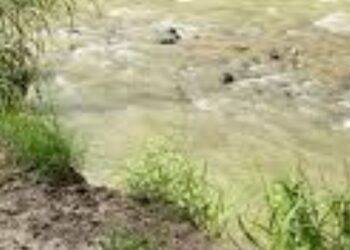 Desde el 20 de enero cerrarán puente sobre el río Luisa en el Guamo