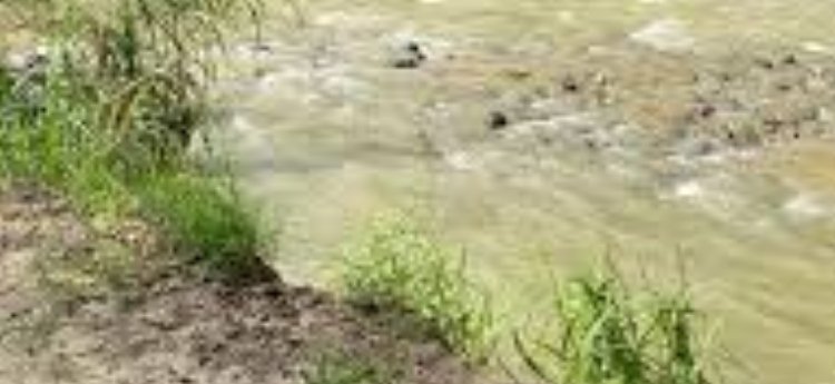 Desde el 20 de enero cerrarán puente sobre el río Luisa en el Guamo