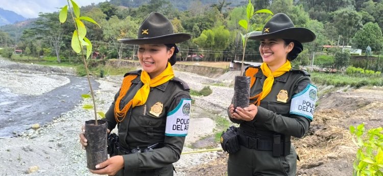 Sembraron 300 árboles para la protección del río Anaime