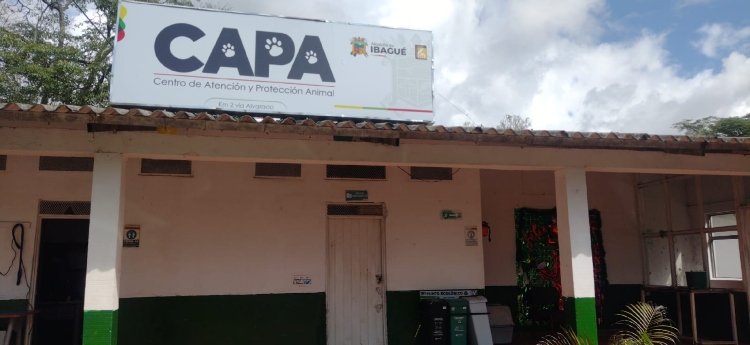 La Personería de Ibagué alertó sobre preocupante estado del CAPA y exige medidas urgentes