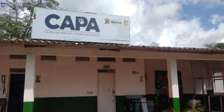 Secretario de Gobierno anuncia acciones en pro de los animalitos en el CAPA