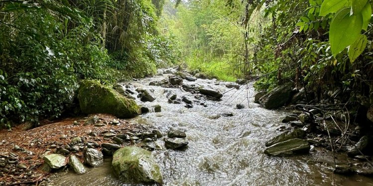 Cortolima aprobó la concesión de la quebrada Corazón a la Alcaldía de Ibagué y el Ibal
