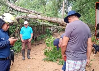 Los organismos de socorro en Ibagué atendieron más de 10 emergencias reportadas por lluvias