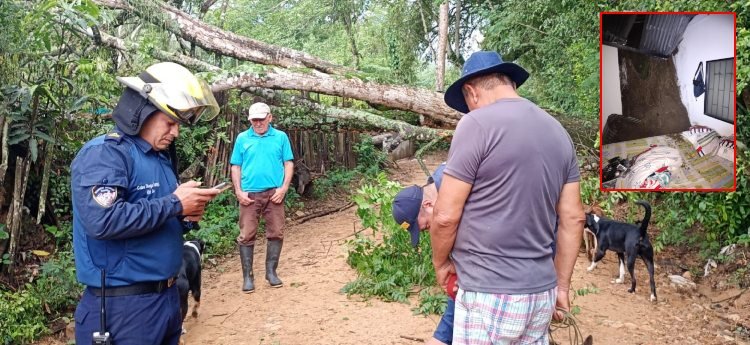 Los organismos de socorro en Ibagué atendieron más de 10 emergencias reportadas por lluvias