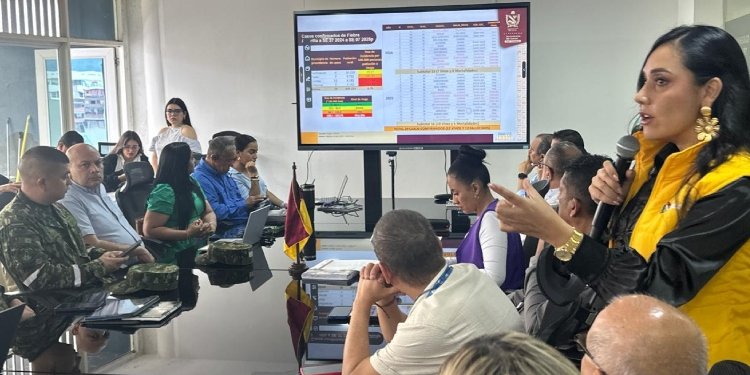 Autoridades de salud en el Tolima temen que virus de la fiebre amarilla haya mutado