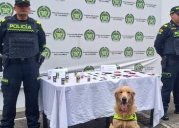 La canina ‘Perla’ olfateó estupefacientes camuflados en dulces