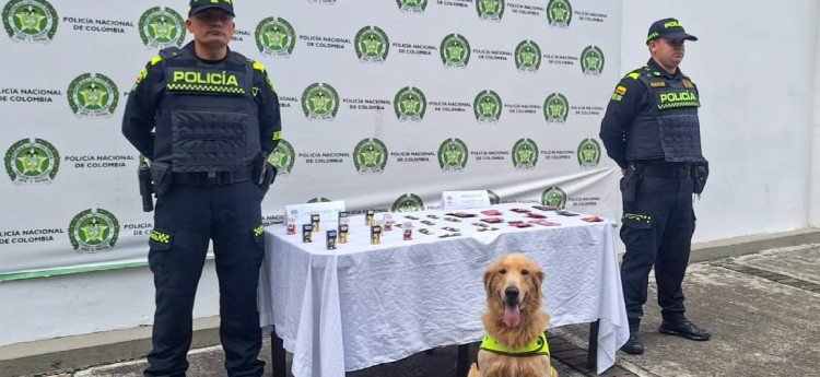 La canina ‘Perla’ olfateó estupefacientes camuflados en dulces