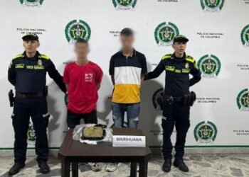 Detenidos dos hombres con marihuana que llevaban en una caja de cartón