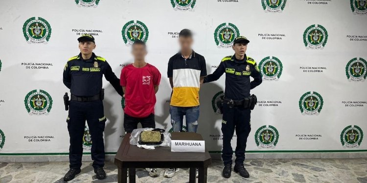 Detenidos dos hombres con marihuana que llevaban en una caja de cartón