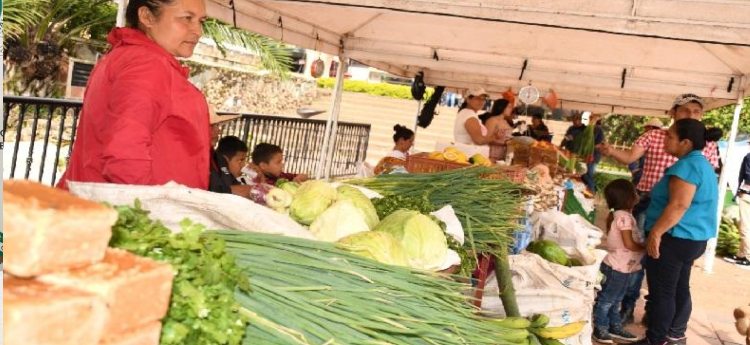El Guamo tendrá jornada de mercados campesinos este jueves