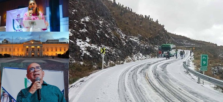 Gobernación del Tolima y la Presidencia de la República habrían incumplido medidas ambientales en el Parque Natural de Los Nevados