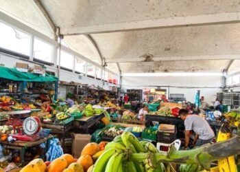 Le contamos cómo se realizan los pagos de arriendo en las plazas de mercado en Ibagué