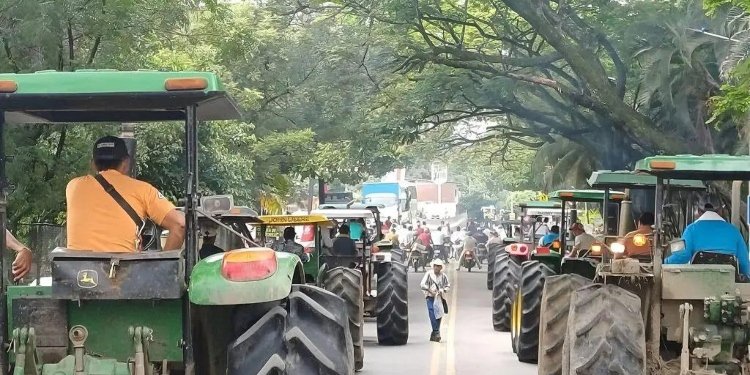 Desde el Tolima piden al Gobierno Nacional cumplir los acuerdos pactados con los arroceros