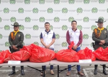 En operativos en las plazas de mercado, las autoridades se incautaron de más de 300 kilos de productos cárnicos