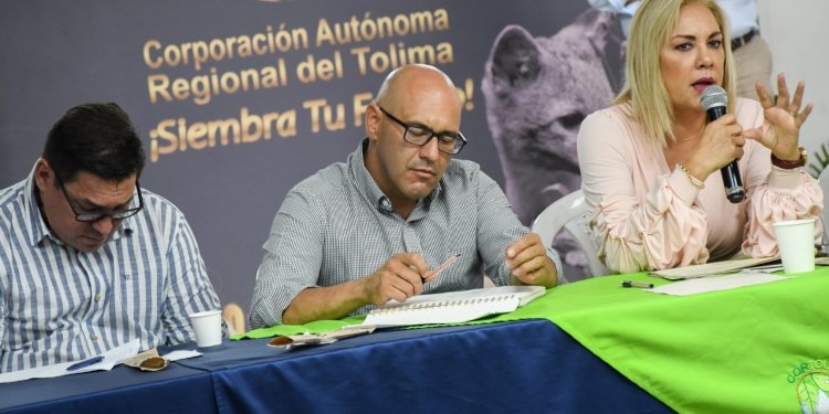 Cerca de 40 mil millones de pesos en proyectos ambientales ha invertido Cortolima en el norte del departamento 