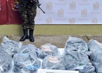 Tropas del Ejército capturaron a dos integrantes de las disidencias de las Farc en Rovira 