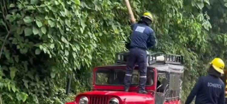 Guadua atravesó jeep y el conductor se salvó de milagro