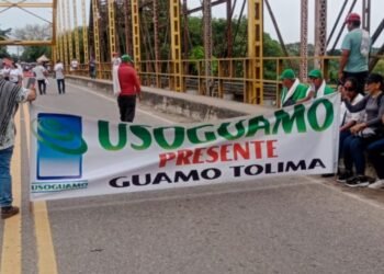 Paro arrocero en el país está generando pérdidas cercanas a mil 600 millones de pesos diarios