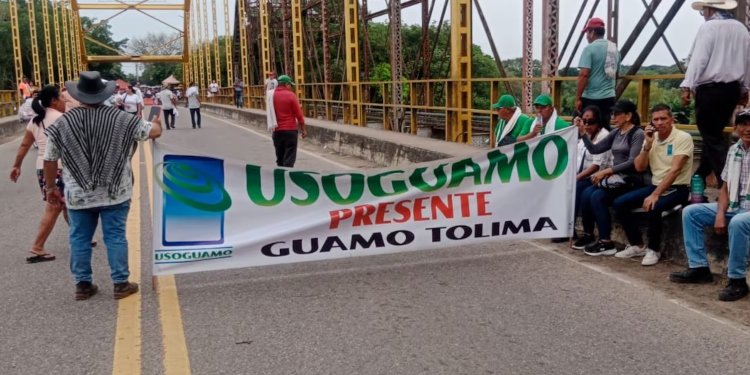 Paro arrocero en el país está generando pérdidas cercanas a mil 600 millones de pesos diarios