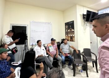 Productores de limón levantaron paro y bloqueos en la vía San Luis – Ibagué