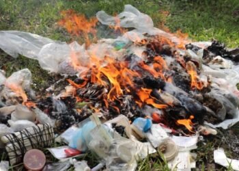 Autoridades en Ibagué decomisaron y destruyeron más de 4 kilos de estupefacientes