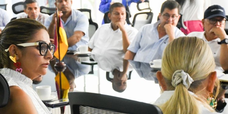 Cortolima invita al Gobierno Nacional a buscar soluciones para el sector arrocero en el Tolima 