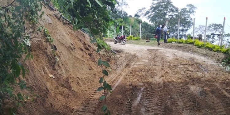 Secretaría de Agricultura de Ibagué atendió emergencias por lluvias en zona rural