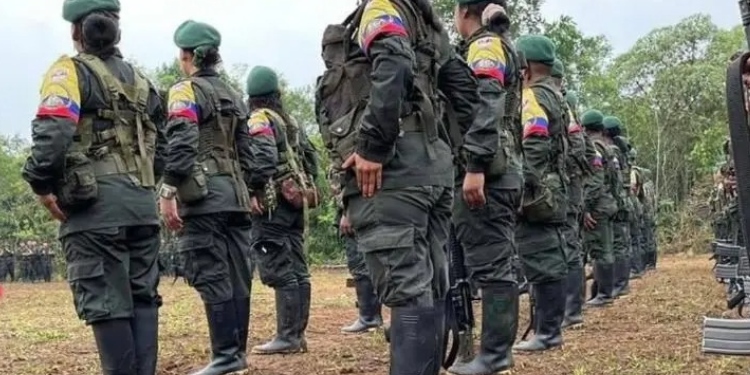 Alcaldes del Tolima deberán informar sobre medidas de protección a excombatientes en reincorporación