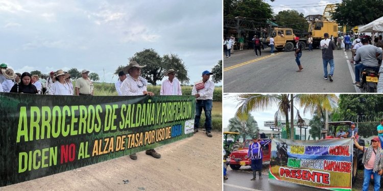 El Tolima se une al Paro Nacional Arrocero 