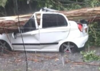 Las cuatro personas lesionadas en la caída del árbol en el Cañón del Combeima ya fueron dadas de alta