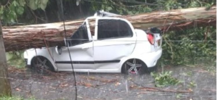 Las cuatro personas lesionadas en la caída del árbol en el Cañón del Combeima ya fueron dadas de alta