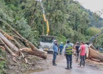 Redes de alumbrado público afectadas por la emergencia en el Cañón del Combeima fueron recuperadas