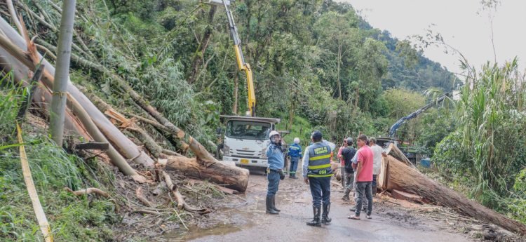 Redes de alumbrado público afectadas por la emergencia en el Cañón del Combeima fueron recuperadas