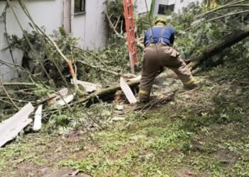 Organismos de socorro atendieron emergencias por fuertes lluvias en Ibagué