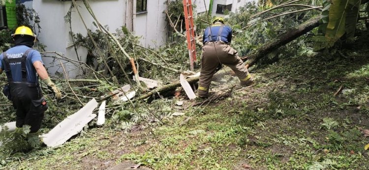 Organismos de socorro atendieron emergencias por fuertes lluvias en Ibagué