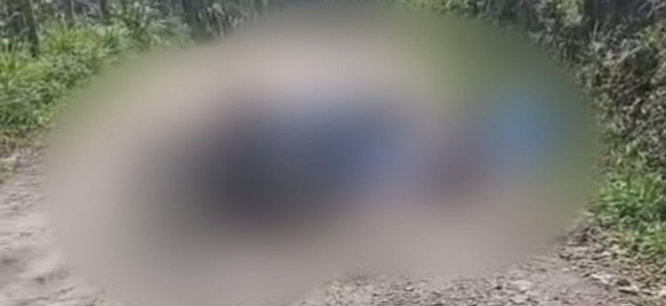 Hombre asesinado junto a mujer en zona rural de Ibagué, tenía anotaciones penales por invasión de tierras