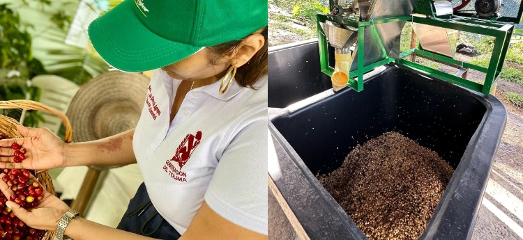 Tolima estará presente en feria de café Houston en Estados Unidos