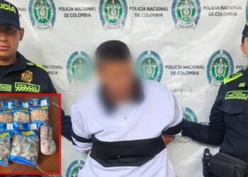 Mujer engañó para salir con productos cárnicos sin pagar en un local de la Plaza de La 28