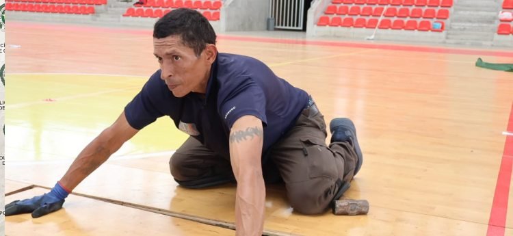 Inició montaje del maderamen del Coliseo Mayor para eventos nacionales e internacionales