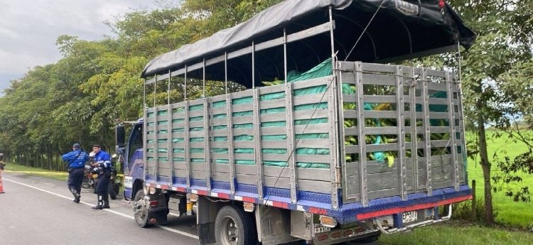 Conductor falleció aplastado por su propio camión