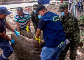 Cortolima celebró el Día de la Tierra con jornada de recolección de escombros en el Hato de la Virgen en Ibagué