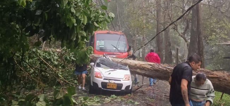 Fuertes lluvias causaron caída de árboles en el Cañón del Combeima