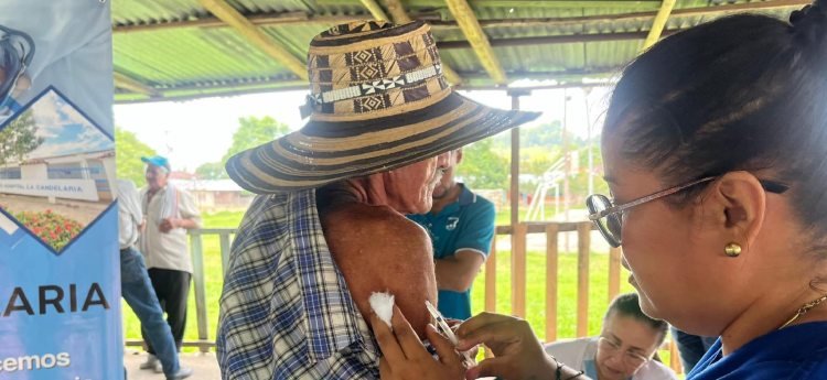 El norte del Tolima reporta primer caso de fiebre amarilla en el departamento