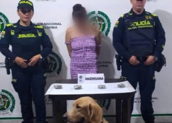 Mujer fue sorprendida cuando transportaba marihuana camuflada en formas de tejo