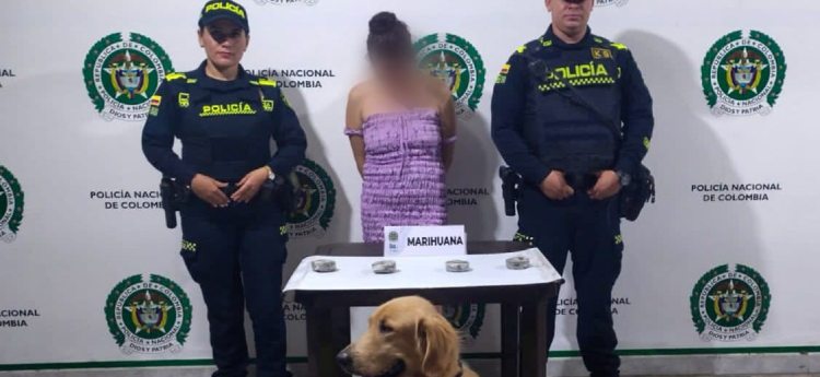 Mujer fue sorprendida cuando transportaba marihuana camuflada en formas de tejo